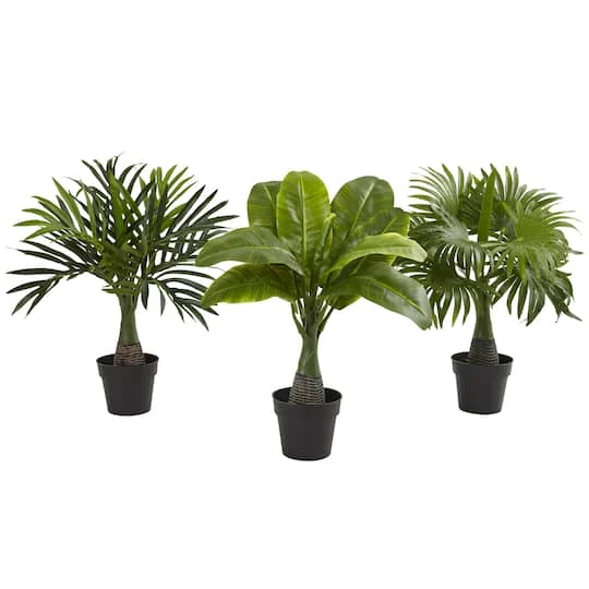 15.5" Areca, Fountain & Banana Palm, 3ct. 3 15.5" Areca, Fountain & Banana Palm, 3ct.