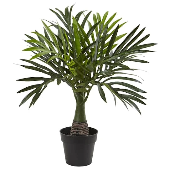 15.5" Areca, Fountain & Banana Palm, 3ct. 5 15.5" Areca, Fountain & Banana Palm, 3ct. - Image 3