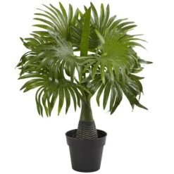 15.5" Areca, Fountain & Banana Palm, 3ct. 11 15.5" Areca, Fountain & Banana Palm, 3ct. -Michaels Decor Sale D293825S 4