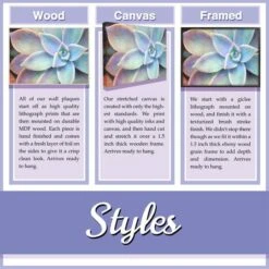 Stupell Industries Laundry Cleaning Symbols Wall Art -Michaels Decor Sale D314977S 5