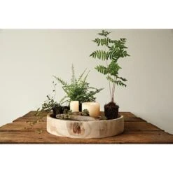 Hello Honey® 17'' Distressed Brown Paulownia Wood Hand Carved Tray -Michaels Decor Sale D319078S 3
