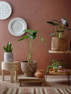 Hello Honey® 16" Paulownia Wood Stool -Michaels Decor Sale D320699S 5