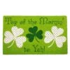 DII® Top Of The Mornin' To Yah! Doormat -Michaels Decor Sale D364642S 1