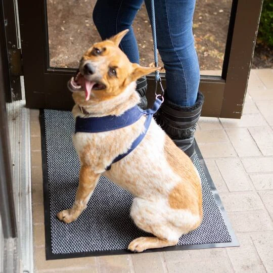 DII® Gray & Black Walk Off Utility Runner Doormat, 24" X 36" 8 DII® Gray & Black Walk Off Utility Runner Doormat, 24" X 36" - Image 6