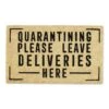 DII® Quarantining Deliveries Here Doormat -Michaels Decor Sale D364762S 1