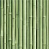 RoomMates Bamboo Peel & Stick Wallpaper Green