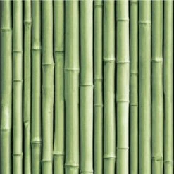RoomMates Bamboo Peel & Stick Wallpaper Green