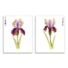 Stupell Industries Orange & Purple Iris Flower With Color Key Wall Plaque Set -Michaels Decor Sale D388516S 1