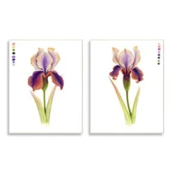 Stupell Industries Orange & Purple Iris Flower With Color Key Wall Plaque Set