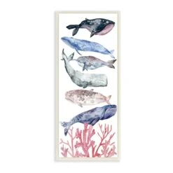 Stupell Industries Whale Wildlife Ocean Coral Watercolor Illustrations, 7" X 17"