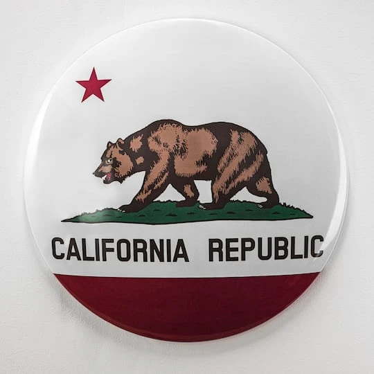 American Art Décor™ 15" California State Flag Dome Metal Sign 7 American Art Décor™ 15" California State Flag Dome Metal Sign - Image 5