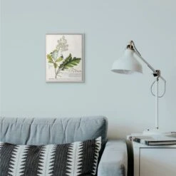 Stupell Industries Vintage Botanical Plant Illustration Gray Framed Wall Art -Michaels Decor Sale M20006129 2