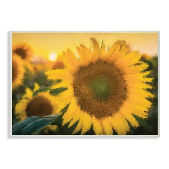 Stupell Industries Realistic Soft Edges Sunflower Field Sunrise Wall Art 3 Stupell Industries Realistic Soft Edges Sunflower Field Sunrise Wall Art