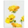 Designart - Beautiful Yellow Flowers On White - Floral Canvas Art Print -Michaels Decor Sale M20020363 1