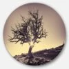 Designart - Lonely Grey Tree In Mountain' Extra Large Wall Art Landscape -Michaels Decor Sale M20022322 1