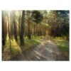 Designart - Road Through Green Pine Forest - Landscape Photography Canvas Print 2 Designart - Road Through Green Pine Forest - Landscape Photography Canvas Print -Michaels Decor Sale M20024757 1